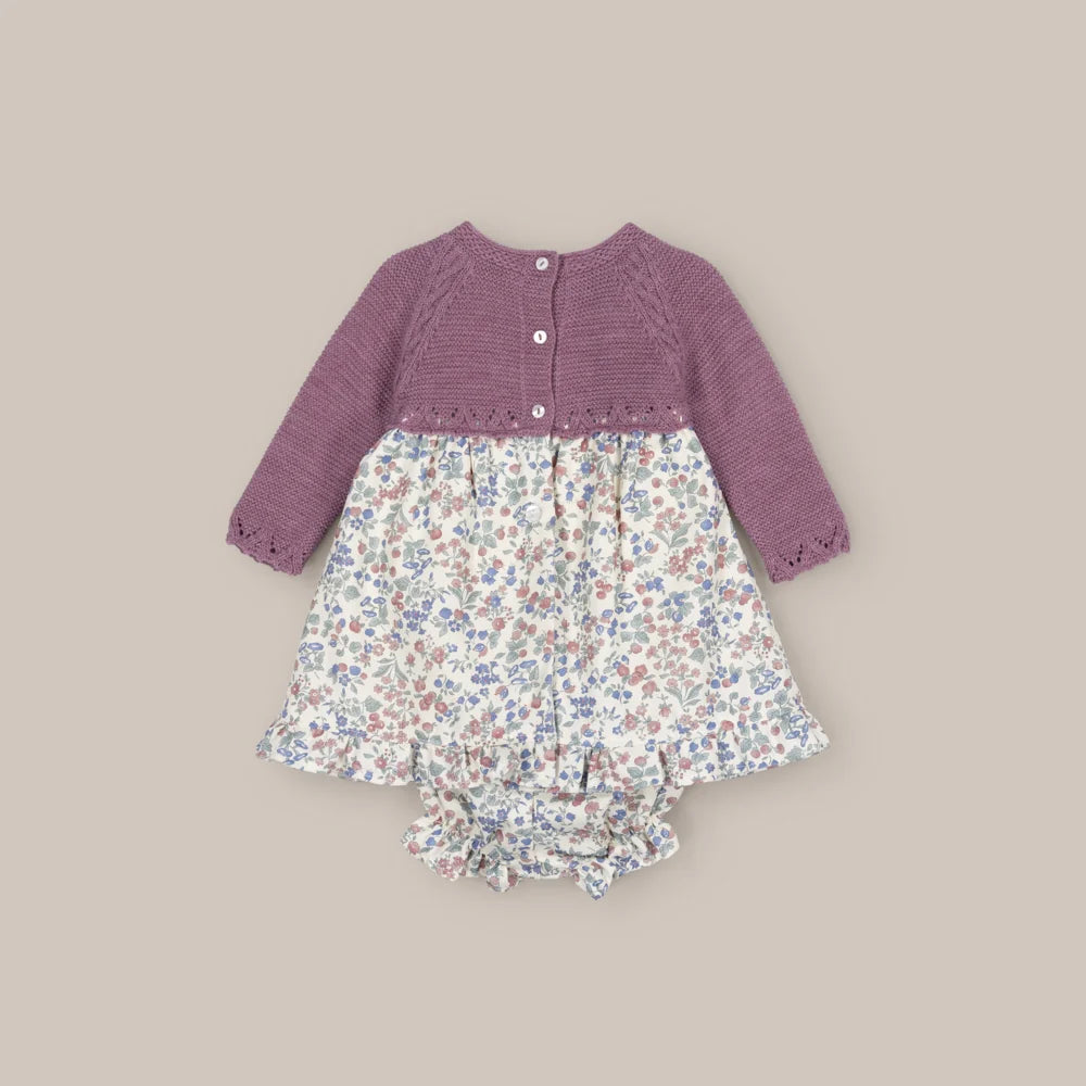 JESUSIN DENALI BERENJENA