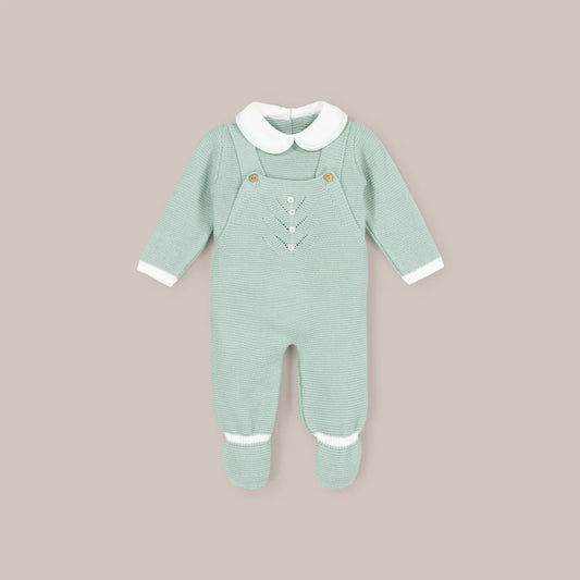 CONJUNTO ESPIGUITA VERDE EMPOLVADO