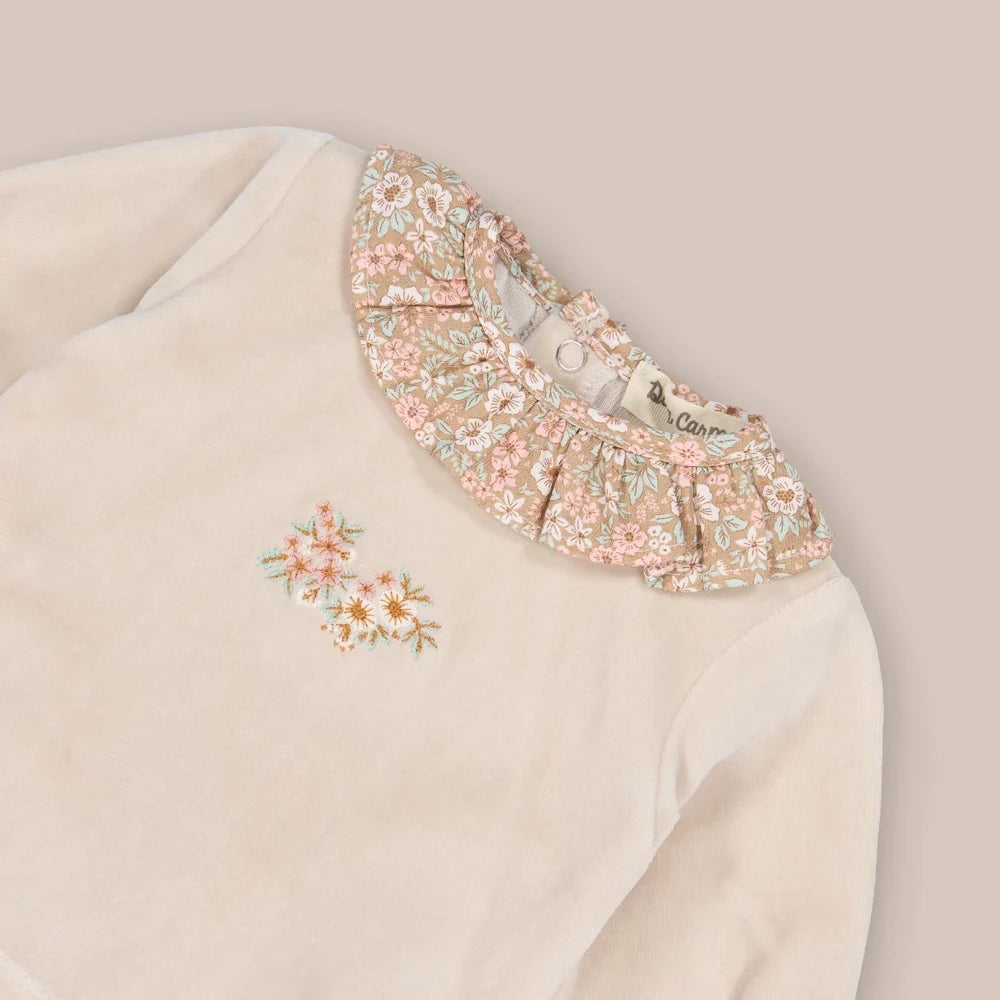 CONJUNTO TER VISON