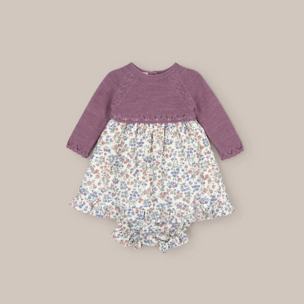 JESUSIN DENALI BERENJENA